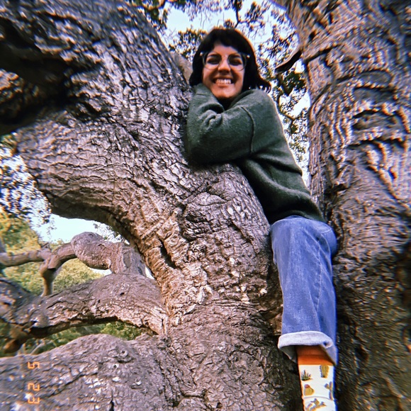 Meet your Posher, Emerson - Picture 1 of 1